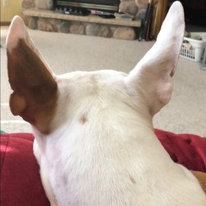 Meet your Posher, Kelli